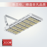 LED泛光燈-G300